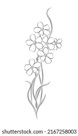 Olvídame de la ilustración vectorial de la línea de flores. Myosotis monocromo cromo dibujo a mano de la tinta negra aislado en fondo blanco.