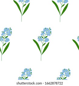 Forget me not flowers seamless pattern vector spring botanical illustration