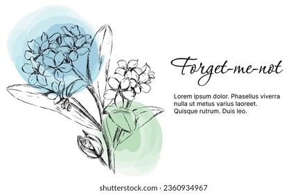 forget me not, outline drawing, postcard