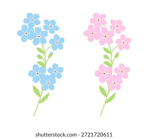 Olvídame, no me sienta aislado sobre un fondo blanco. Icono coloreado, Ilustración vectorial en un estilo plano. Flor de primavera azul y rosa.