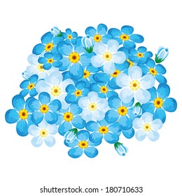 forget me not tender blue spring flowers