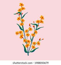 Forget-me-not floral illustration. Beautiful flower bouquet.