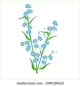 Forget-me-not floral illustration. Beautiful flower bouquet.