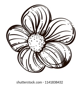 Forget-me-not flower. Decorative floral element in hand drawn, sketch style. Outline vector illustration isolated on white background for greeting cards, invitations and much more.