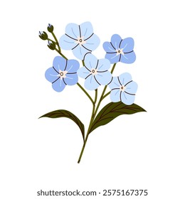 Forget-me-not flower. Valentines day card.  Spring blossom Blue forget me not cute plants. Mother’s Day , Valentine’s Day blooming flowers. Wallpaper, flyer, poster, sticker, banner, card, AD