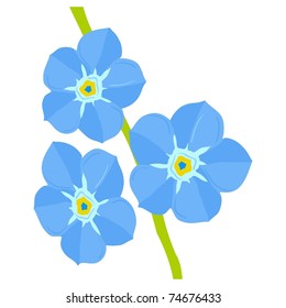 Forget-me-not flower. Vector