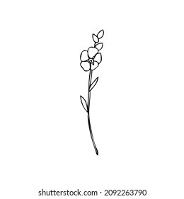 857 Forget me not line drawing Stock Illustrations, Images & Vectors ...