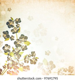 forget-me-not flower vintage grunge background