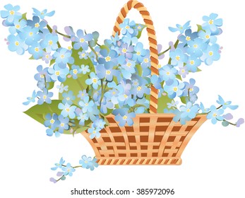 Forget-me-not flowers in a basket