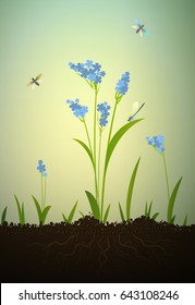 forget-me-not flowers growing on soil, vector
