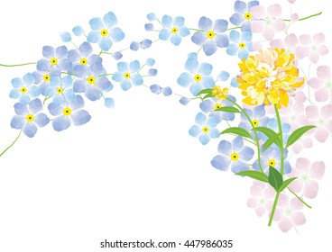 forgetmenot flowers on white background ,vector illustration