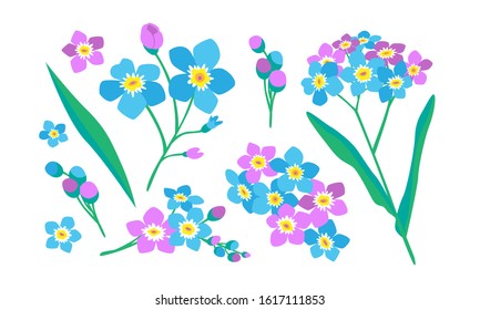Forget-me-not flowers vector. Isolated image. Floral elements for design and decor.