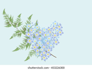 Forgetmenot  heart shape with fern leaf on green background.isolated pictures  for card or object