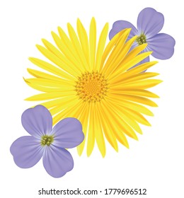 Forget-me-not Light Blue Viola Flower and yellow daisy Isolated on White Background