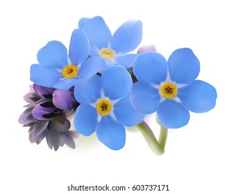 Forget-me-not. Myosotis.
Hand drawn vector illustration of blue spring flowers with yellow center on white background.