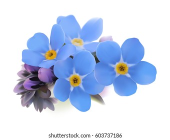 Forget-me-not. Myosotis.
Hand drawn vector illustration of blue spring flowers with yellow center on white background.