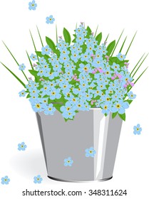 Forget-me-not in the pot with green leaves - vector illustration
