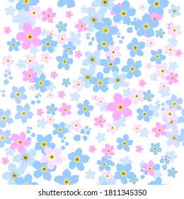 Forget-me-not is a seamless background. Vector illustration.