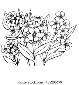 Forget-Me-Not. Sketch Vector Illustration. Design element