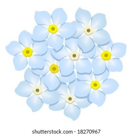 forget-me-nots