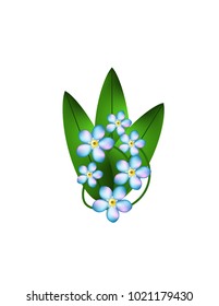 Forget-me-nots on a white background
