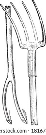 Forks, From the Dictionary of Word and Things, 1888.