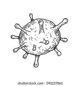 Form virus, cell, bacteria or microbe in hand drawn vintage style. Retro vector illustration isolated on white background.