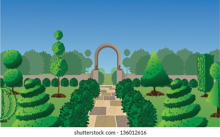 Formal garden with topiary. EPS 10 vector, grouped for easy editing. No open shapes or paths.