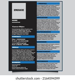 A FORMAL RESUME FOR APPLICATION. IT IS STANDART FOR ALL SECTOR