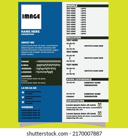 It is a formal and standard quality resume.
