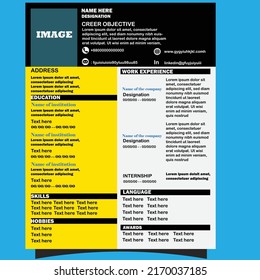 It is a formal and standard quality resume.