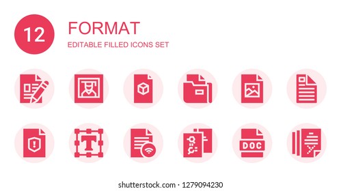 format icon set. Collection of 12 filled format icons included File, Photography, Jpeg, Text editor, Doc