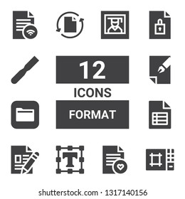 format icon set. Collection of 12 filled format icons included Editor, File, Text editor, Files, Photography