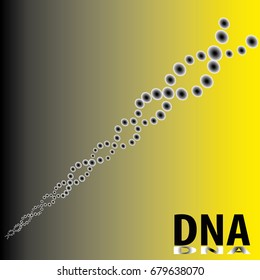 The formation of atoms and molecules chemical compounds DNA