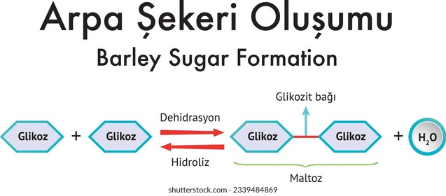 Formation of Barley Sugar, Chemistry, Chemistry Lesson, Glucose, Dehydration, Hydrolysis, Maltose, Glycoside Bond, Hydrochloric Acid, Sodium Hydroxide, Arpa Şekeri Oluşumu, Kimya Formülleri, Formül