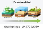 Formation of Coal diagram. Science education vector 3d illustration