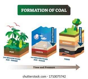 Formation of coal vector illustration. Labeled educational rock birth scheme. Carbon stone diagram from geological time and pressure aspect. Swamp and ocean structural process explanation infographic.