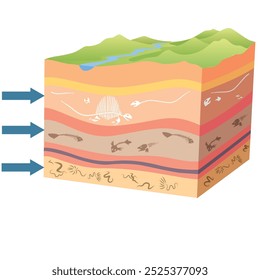 A formação de fósseis, fossilização - o processo de formação de fósseis. Formação fóssil. A formação de um fóssil de dinossauro