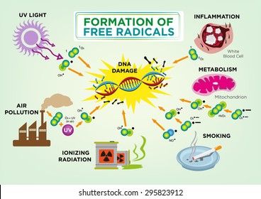 Formation of Free Radicals Diagram Concept. Editable Clip Art.