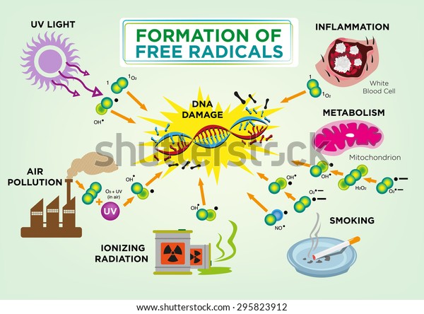 Erstellung Eines Kostenlosen Radical Diagramms Bearbeitbare Stock Vektorgrafik Lizenzfrei