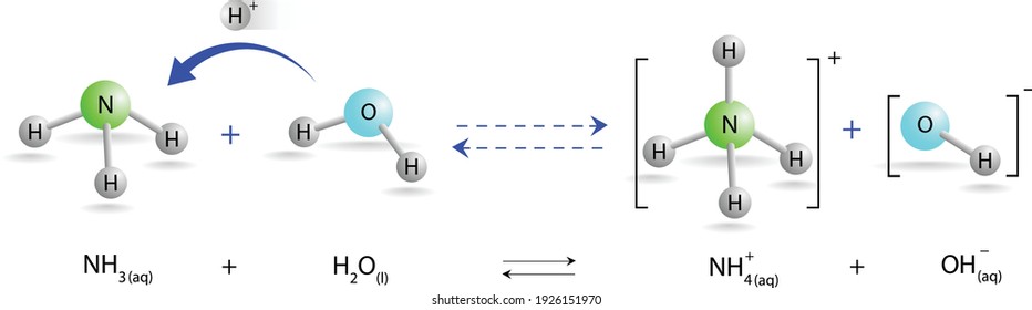 Formation of hydroxide ion, ionization of ammonia - NH3, basic solution, alkaline