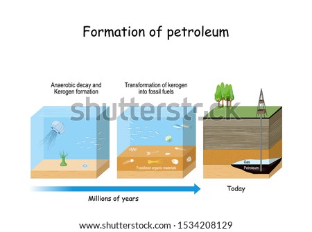 Formation of petroleum. Oil and gas formation. fossil fuel derived from ancient fossilized organic materials. 