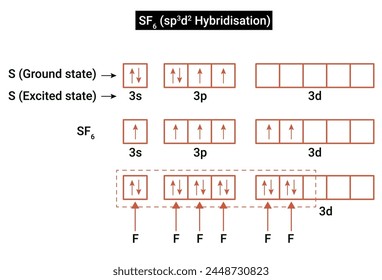 Formation of SF6 (sp3d2 Hybridisation)