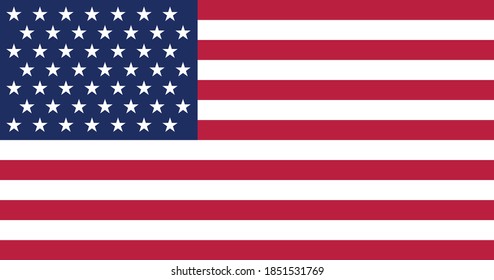 Former American Historic Vector Flag of the United States between 1959 and 1960 (49 stars)