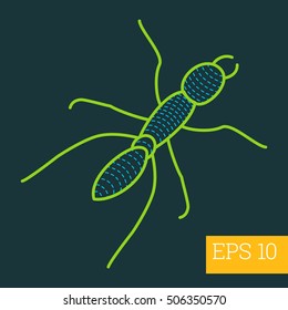 formicidae linear vector illustration. insect outline icon.