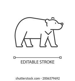 Formosan bear linear icon. White-throated taiwanesse mammal. Asiatic wildlife. Thin line customizable illustration. Contour symbol. Vector isolated outline drawing. Editable stroke