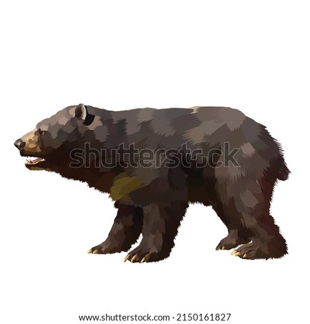 formosan black bear Vector white background