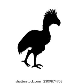 Fororakos flightless terror bird, black silhouette icon, flat vector illustration isolated on white background. Prehistoric extinct wild animal phorusrhacos.