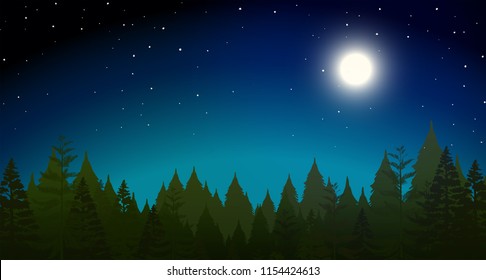 forrest at night scene illustration