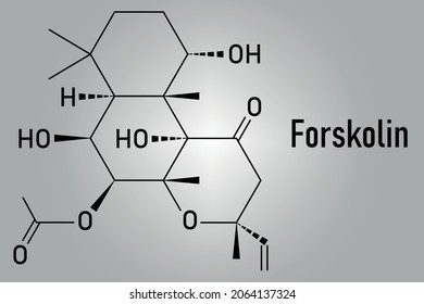 Forskolin (Coleonol)-Molekül. Aktiviert das Enzym Adenylcyclase, was zu erhöhten cAMP-Werten führt. Skelettformel.